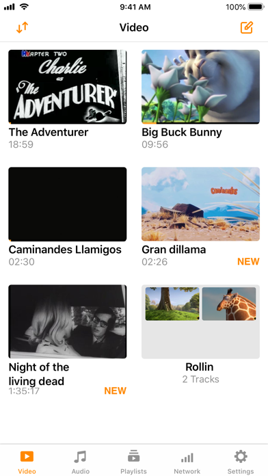 VLC for iOS playback interface
